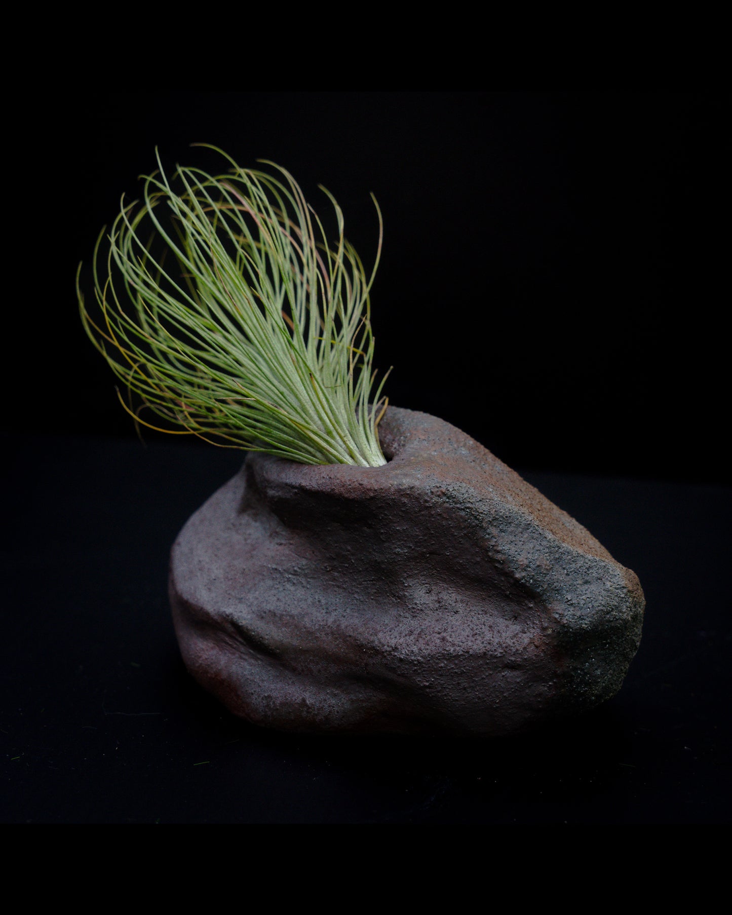 Rock Planter